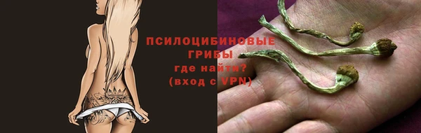 спайс Арсеньев