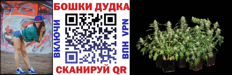 МАРИХУАНА тримм  где купить   Мирный 